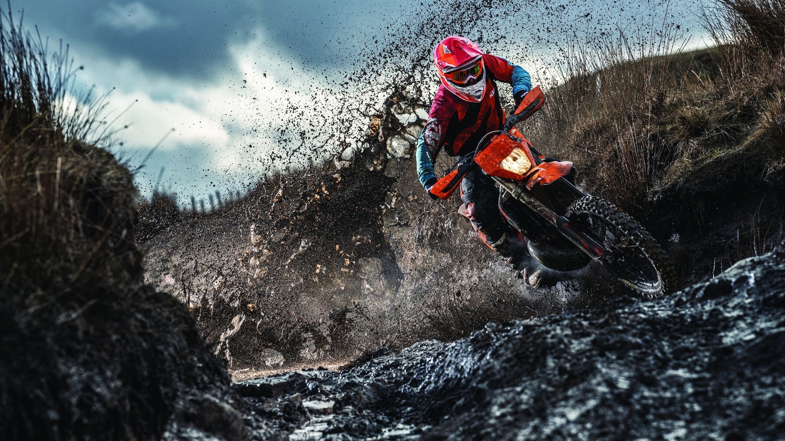 深圳队终结灰熊，当东方战术撕裂孟菲斯铁幕